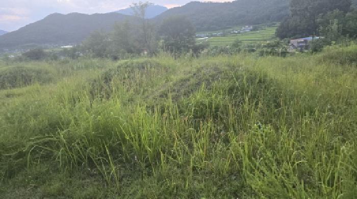 경상북도 칠곡군 북삼읍 오평리 88 전 경매 사진 20