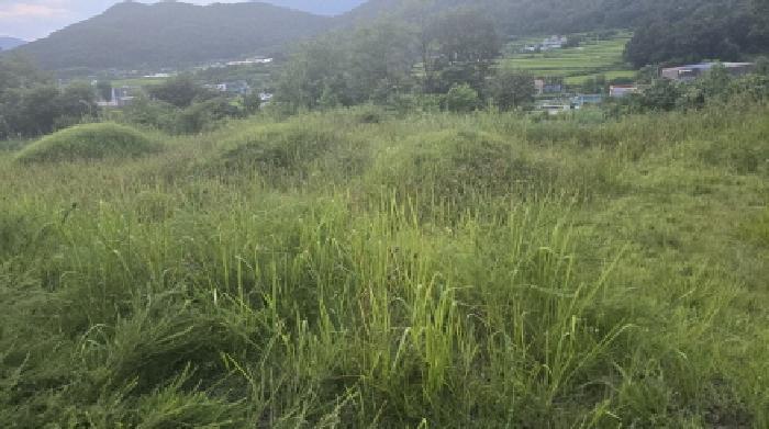 경상북도 칠곡군 북삼읍 오평리 88 전 경매 사진 22