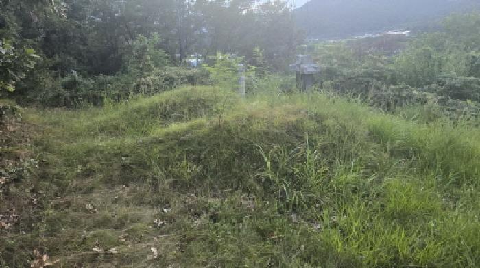 경상북도 칠곡군 북삼읍 오평리 88 전 경매 사진 26