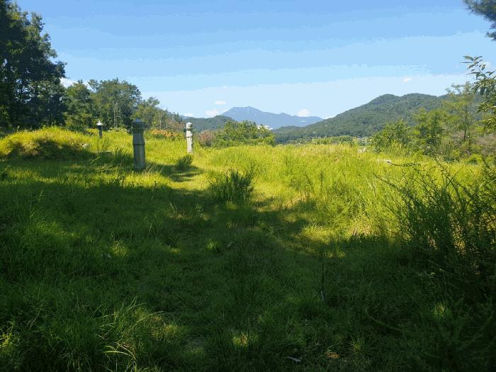 경상북도 칠곡군 북삼읍 오평리 88 전 경매 사진 4