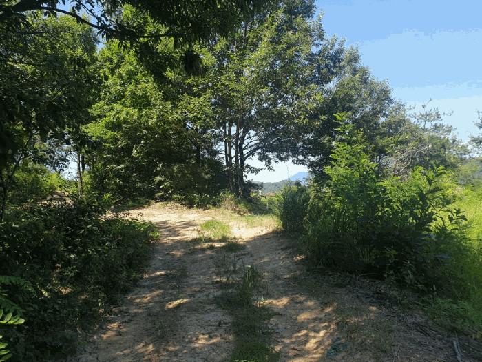경상북도 칠곡군 북삼읍 오평리 88 전 경매 사진 8