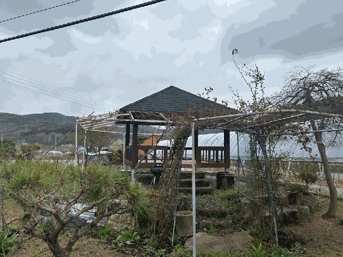 충청남도 당진시 정미면 수당리 482 대지 경매 사진 2
