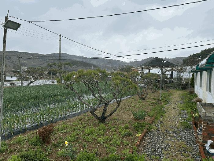 충청남도 당진시 정미면 수당리 482 대지 경매 사진 4