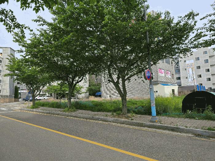 충청남도 서산시 대산읍 대산리 1640 대지 경매 사진 2