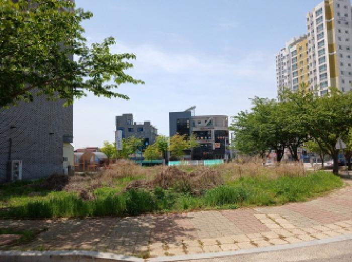 충청남도 서산시 대산읍 대산리 1640 대지 경매 사진 6