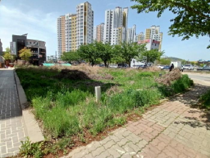 충청남도 서산시 대산읍 대산리 1640 대지 경매 사진 7