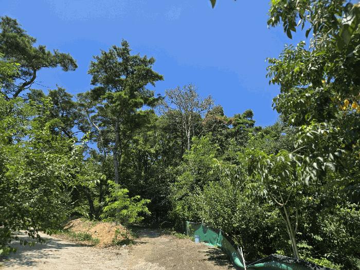 경상북도 칠곡군 임야