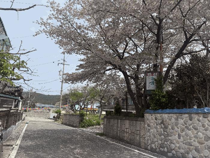충청남도 태안군 소원면 의항리 979-262 주택 경매 사진 3