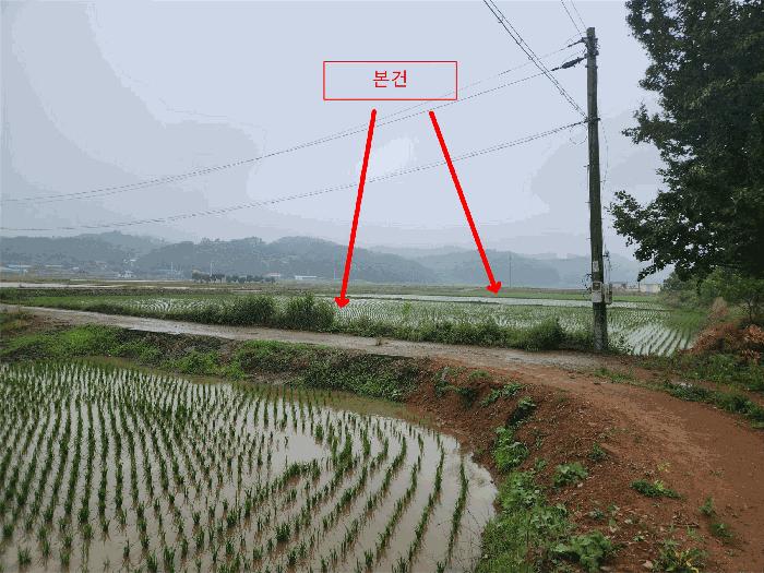 충청남도 서산시 성연면 예덕리 166-3 답 경매 사진 1