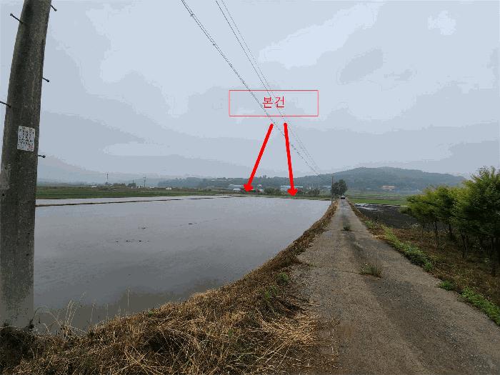 충청남도 서산시 성연면 예덕리 166-3 답 경매 사진 2