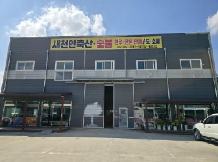 경상북도 영천시 도동 234-4 공장 경매 사진 3