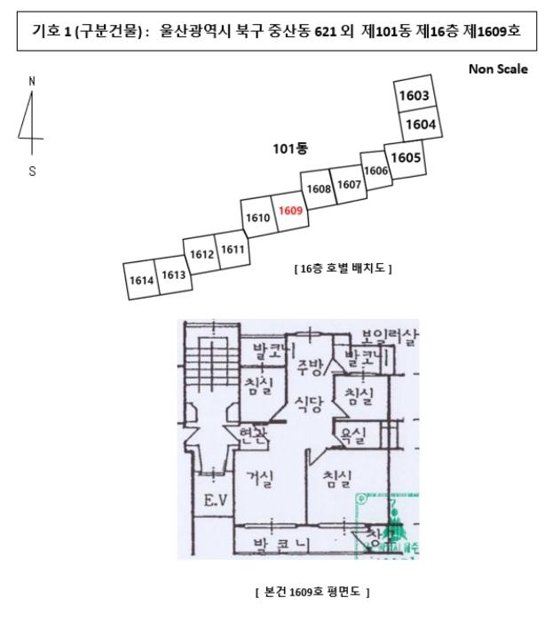 울산광역시 북구 신천소공원로 15, 104동 13층1305호 (신천동,울산신천엠코타운)구) 울산광역시 북구 신천동 786 아파트 경매 사진 11