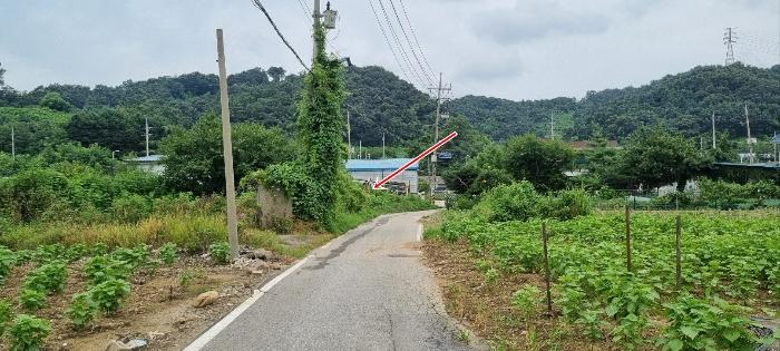 경기도 연천군 청산면 대전리 507-2 대지 경매 사진 1