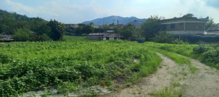 경기도 연천군 청산면 대전리 507-2 대지 경매 사진 13