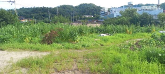 경기도 연천군 청산면 대전리 507-2 대지 경매 사진 18