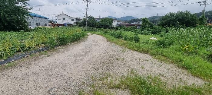 경기도 연천군 청산면 대전리 507-2 대지 경매 사진 4