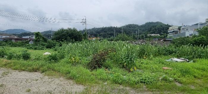 경기도 연천군 청산면 대전리 507-2 대지 경매 사진 9