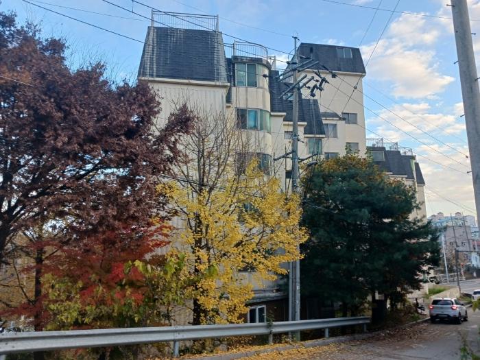 경기도 연천군 전곡읍 전곡리 381-7 1층101호 아파트 경매 사진 2