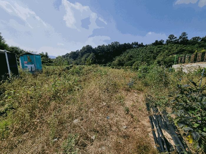 충청북도 증평군 증평읍 덕상리 536-138 임야 경매 사진 2