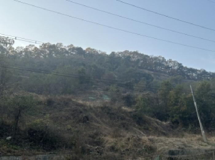 충청북도 괴산군 괴산읍 신기리 산18-17 임야 경매 사진 3