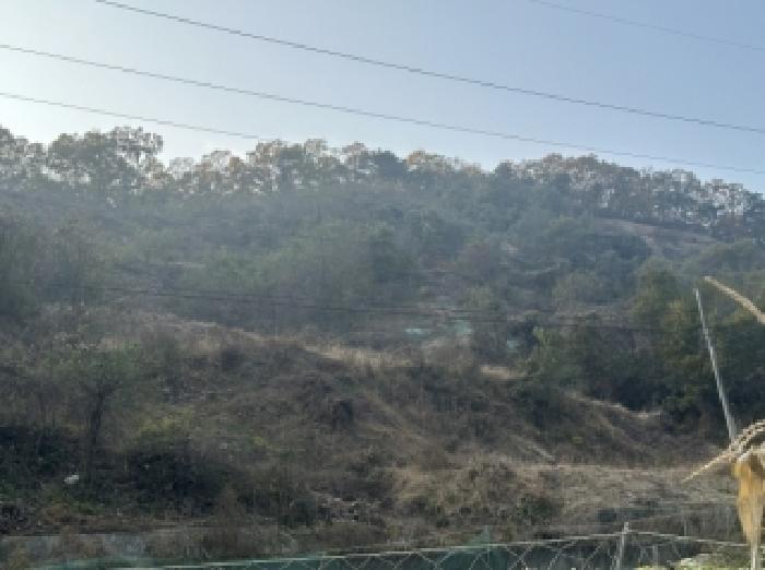 충청북도 괴산군 괴산읍 신기리 산18-17 임야 경매 사진 4