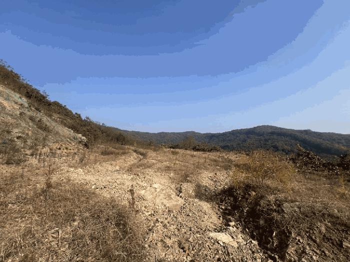 충청북도 괴산군 괴산읍 신기리 산18-17 임야 경매 사진 5