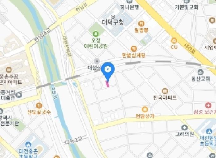대전광역시 동구 삼성동 392-24 도로 경매 사진 12