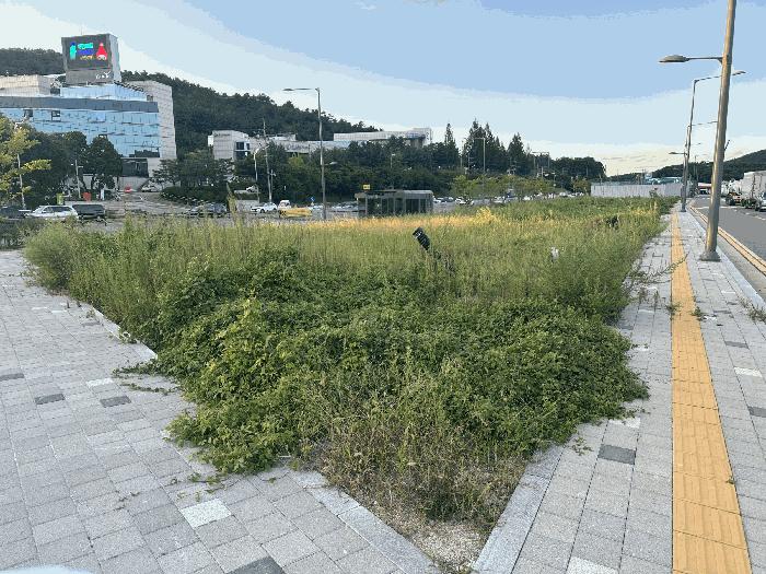 경기도 양주시 마전동 459-8 대지 경매 사진 3