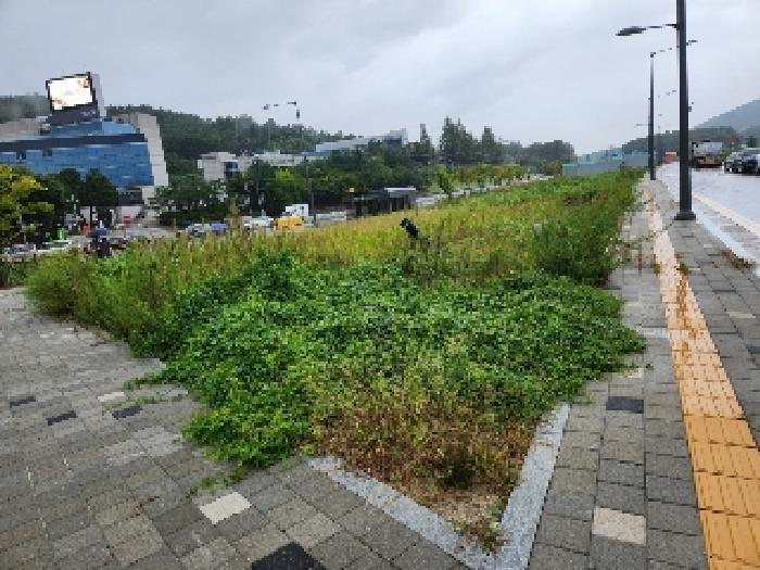 경기도 양주시 마전동 459-8 대지 경매 사진 5