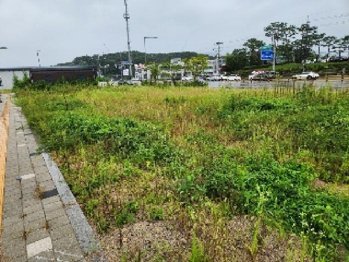 경기도 양주시 마전동 459-8 대지 경매 사진 7