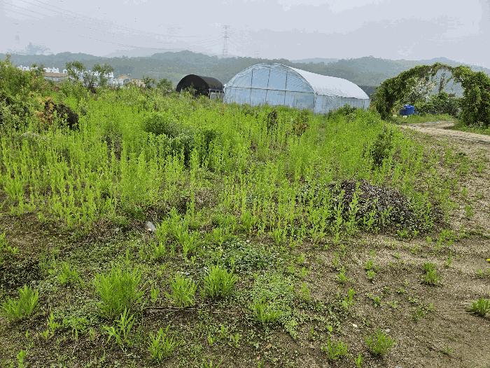 경기도 포천시 신북면 만세교리 126 답 경매 사진 14