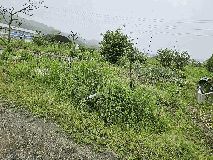 경기도 포천시 신북면 만세교리 126 답 경매 사진 16