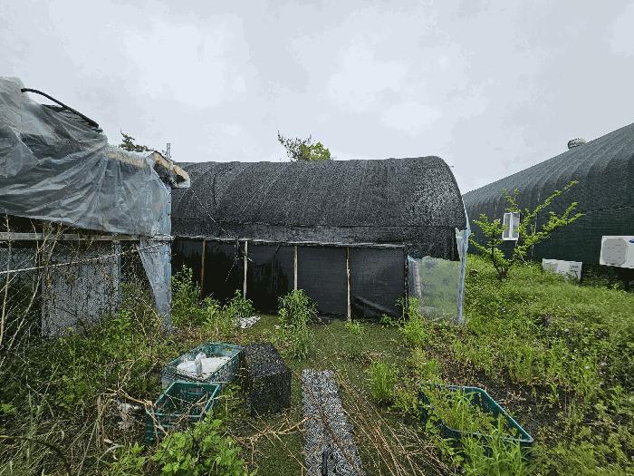 경기도 포천시 신북면 만세교리 126 답 경매 사진 17