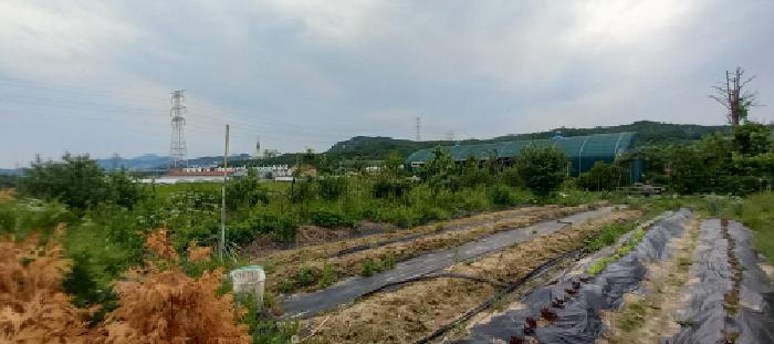 경기도 포천시 신북면 만세교리 126 답 경매 사진 20