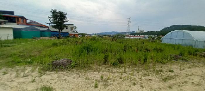 경기도 포천시 신북면 만세교리 126 답 경매 사진 27