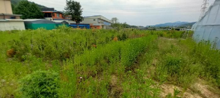 경기도 포천시 신북면 만세교리 126 답 경매 사진 29