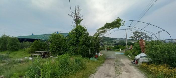 경기도 포천시 신북면 만세교리 144 답 경매 사진 21