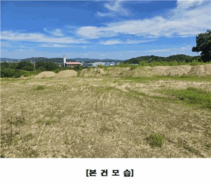 세종특별자치시 조치원읍 번암리 산30-5 임야 경매 사진 2