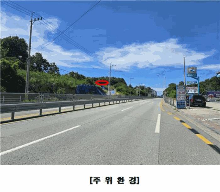 세종특별자치시 조치원읍 번암리 산30-5 임야 경매 사진 3