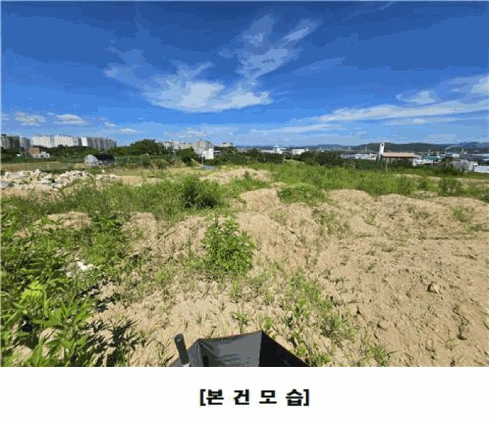 세종특별자치시 조치원읍 번암리 산30-5 임야 경매 사진 4