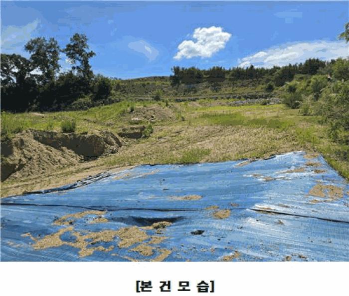 세종특별자치시 조치원읍 번암리 산30-5 임야 경매 사진 5