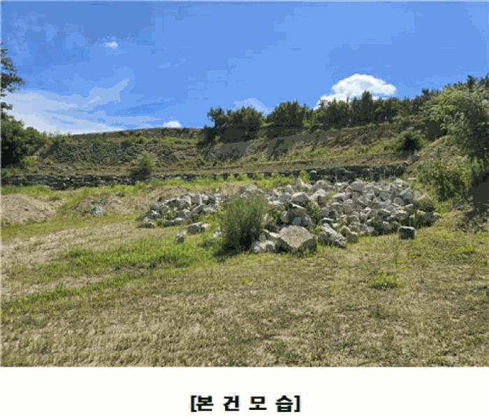 세종특별자치시 조치원읍 번암리 산30-5 임야 경매 사진 6