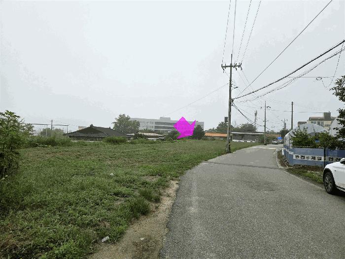 세종특별자치시 연기면 보통리 343-3 과수원 경매 사진 4