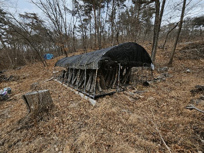 경상남도 김해시 상동면 묵방리 산50 임야 경매 사진 1