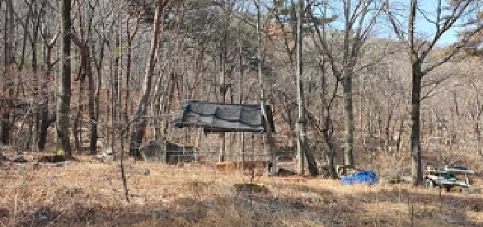 경상남도 김해시 상동면 묵방리 산50 임야 경매 사진 17