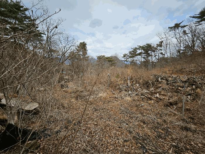 경상남도 김해시 상동면 묵방리 산50 임야 경매 사진 2