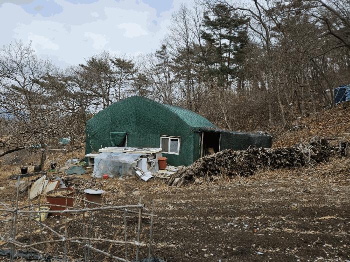 경상남도 김해시 상동면 묵방리 산50 임야 경매 사진 3