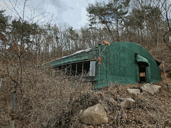 경상남도 김해시 상동면 묵방리 산50 임야 경매 사진 4