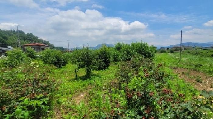 경상남도 함안군 가야읍 산서리 684-897 답 경매 사진 14