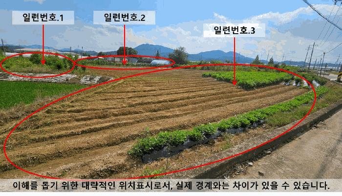 경상남도 함안군 가야읍 산서리 684-897 답 경매 사진 5